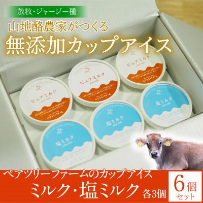 ふるさと納税 平谷村 [放牧・ジャージー]ペアツリーファームのカップアイス[ピュアミルク・塩ミルク 各3個]計6個セット