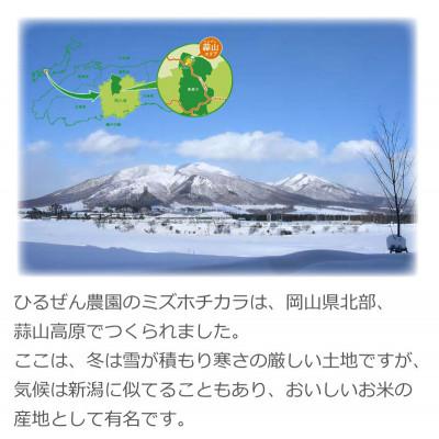 ふるさと納税 真庭市 パン・ピザ用 ミズホチカラ 玄米粉 9kg (900g ×10) 岡山 蒜山高原の画像