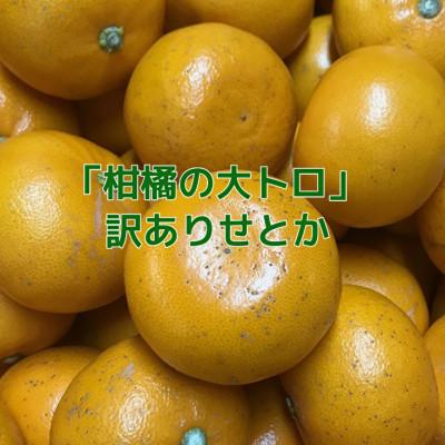 ふるさと納税 八幡浜市 [訳あり]せとか3kg[C21-56]