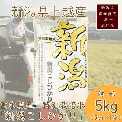 ふるさと納税 上越市 令和7年・新潟県産|特別栽培米コシヒカリ 精米5kg(富永農産)