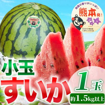 ふるさと納税 玉名市 小玉すいか 1玉 3Lサイズ 約1.5kg以上(玉名市)