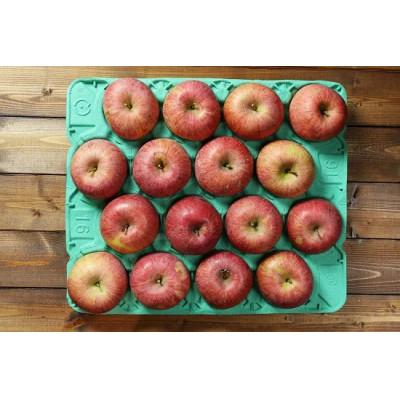 ふるさと納税 寒河江市 樹上完熟ふじ訳あり 15kg