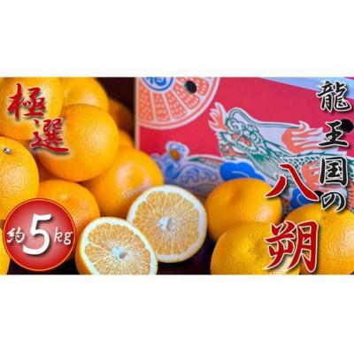 ふるさと納税 丸亀市 [2026年3月中旬より順次発送][極選] 龍王国の八朔 約5kg 香川県 丸亀市産