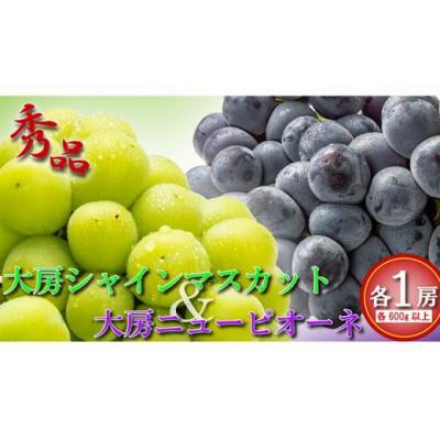 ふるさと納税 丸亀市 大房シャインマスカット &amp; 大房ニューピオーネ 各1房 (各約600g) 香川県 丸亀市産