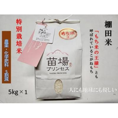 ふるさと納税 津南町 魚沼産もち米「こがねもち 苗場プリンセス」精米 5kg 特別栽培米