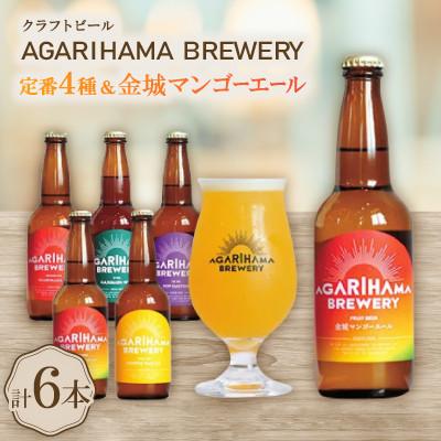 ふるさと納税 与那原町 [お歳暮・無地熨斗付き]クラフトビール定番4種&amp;金城マンゴーエール2本 6本セット