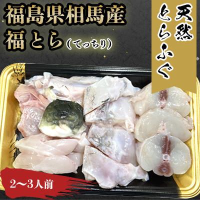 ふるさと納税 相馬市 [常磐もの新名物!福とら] 天然とらふぐ てっちり 鍋 2-3人前 約400g ふぐちり