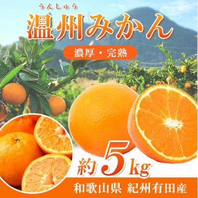 ふるさと納税 北山村 紀州有田産 濃厚完熟 温州みかん 5kg[uot006]