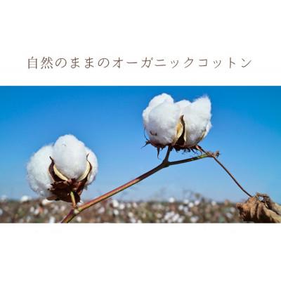 ふるさと納税 阪南市 敷きパッド 無添加 無漂白 オーガニックコットン フランネル ダブルサイズ オールシーズン_1