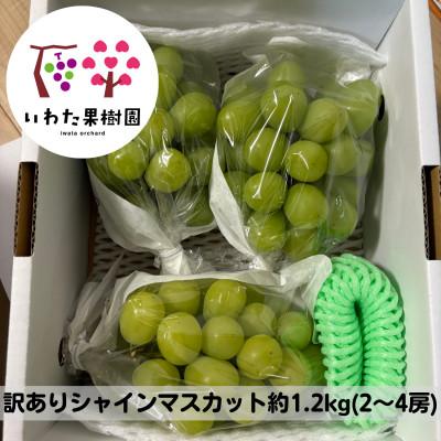 ふるさと納税 高畠町 [家庭用]山形県 高畠町産 シャインマスカット 1.2kg(2〜4房)