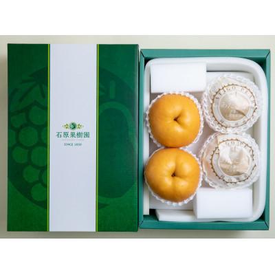 ふるさと納税 玉野市 あたご梨4.5kg贈答箱赤秀 3〜9玉 [A45-4-9]