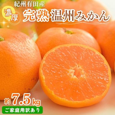 ふるさと納税 北山村 [ご家庭用 訳あり]紀州有田産 濃厚完熟 温州みかん 7.5kg[uot704A]