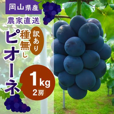 ふるさと納税 高梁市 [2026年先行受付]こあに葡萄園 岡山県産 農家直送ご家庭用訳あり ピオーネ1kg 2房入り