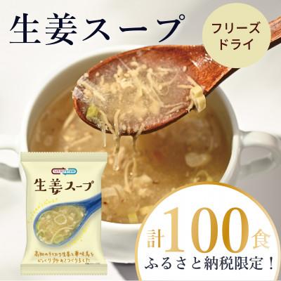 ふるさと納税 三田市 [フリーズドライ]NATURE FUTURe 生姜スープ100食
