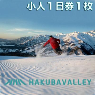 ふるさと納税 白馬村 2025-2026 HAKUBA VALLEY 10 スキー場共通リフト券[小人1日券1枚]