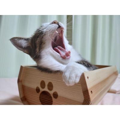 ふるさと納税 浜松市 天竜杉のぬくもりを ネコの寝床