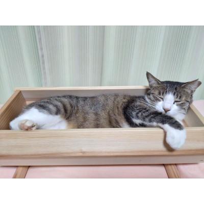 ふるさと納税 浜松市 天竜杉のぬくもりを　ネコの寝床_1