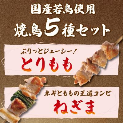 ふるさと納税 丸亀市 焼鳥セット 30本 5種 各6本 タレなし 国産 鶏肉 (もも ももねぎ ぼんじり 砂肝 ボイル皮)