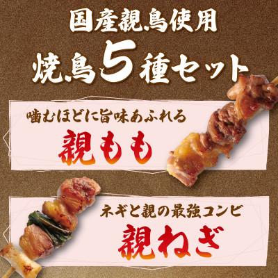 ふるさと納税 丸亀市 親鳥 焼鳥セット 30本 5種 各6本 タレなし 国産 (親もも 親ねぎ はつもと ぼんじり 親皮)