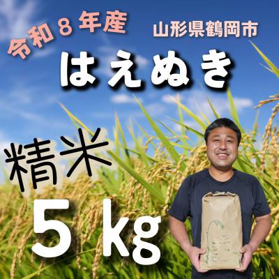 ふるさと納税 鶴岡市 令和8年産先行受付 山形県鶴岡市『はえぬき (庄内米)』 精米 5kg