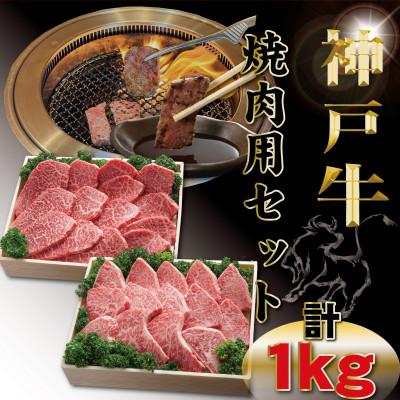 ふるさと納税 豊岡市 神戸牛 焼肉セット 計1Kg TYYS5 [2026年4月より順次発送]