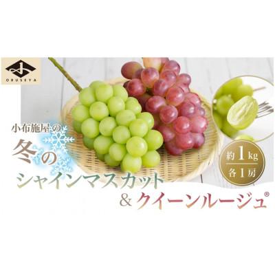 ふるさと納税 小布施町 冬のシャインマスカット&amp;クイーンルージュ(R) 約1kg 各1房