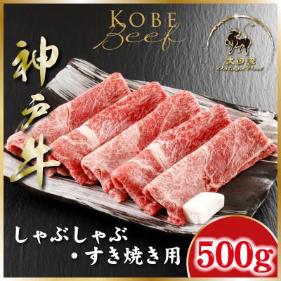 ふるさと納税 朝来市 神戸牛(神戸ビーフ)しゃぶしゃぶ・すき焼き用 500g ASGS2 [2026年4月より順次発送]