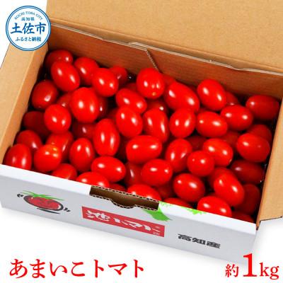 ふるさと納税 土佐市 [2026年1月上旬〜発送]あまいこトマト 約1kg 糖度7〜8度