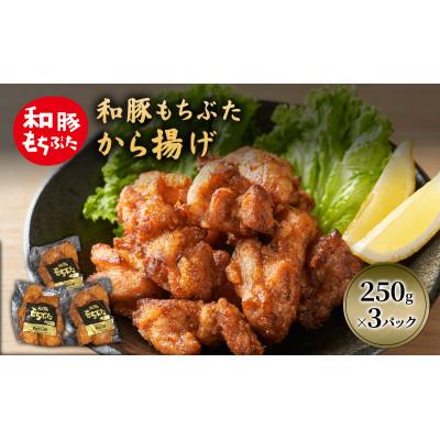 ふるさと納税 大河原町 和豚 もちぶた から揚げ 3パック 約250g×3 