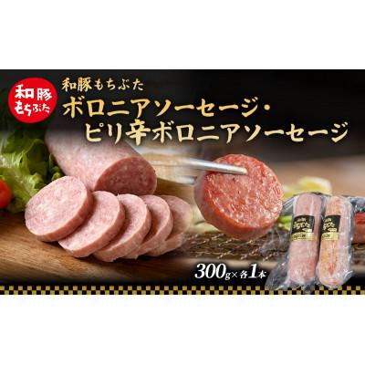 ふるさと納税 大河原町 和豚 もちぶた ボロニア ピリ辛ボロニアソーセージセット 各1本
