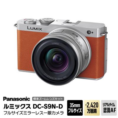 ふるさと納税 門真市 パナソニック フルサイズミラーレス一眼カメラ ルミックス DC-S9N-D