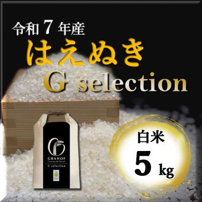 ふるさと納税 鶴岡市 [令和7年産]山形県鶴岡産 Gセレクション はえぬき 白米 5kg