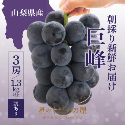 ふるさと納税 笛吹市 [2026年発送]星のくだもの屋 山梨県産 訳あり種なし巨峰 3房(1.3kg)