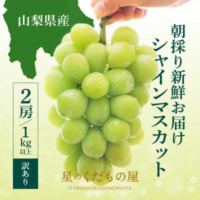 ふるさと納税 笛吹市 [2026年発送]星のくだもの屋 山梨県産 訳ありシャインマスカット2房(1kg以上)