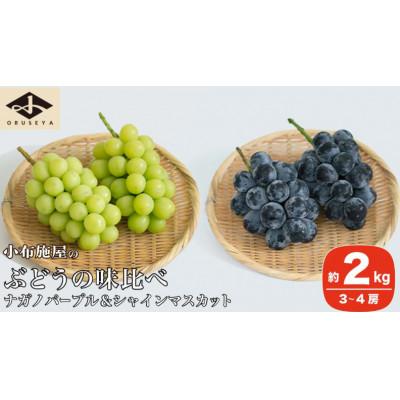 ふるさと納税 小布施町 [2026年発送]高級ぶどう味比べ詰合せ ナガノパープル &amp; シャインマスカット 約2kg 3〜4房