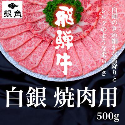 ふるさと納税 養老町 [飛騨牛]白銀焼肉用500g