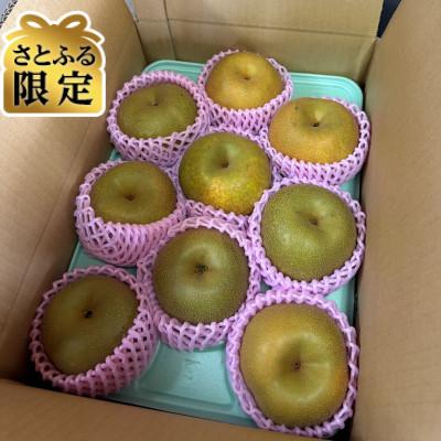 ふるさと納税 八千代市 [さとふる限定]梨 品種おまかせ 3kg