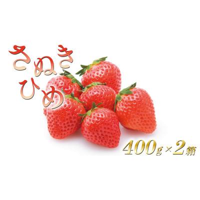 ふるさと納税 丸亀市 いちごのお姫様 さぬきひめ 約800g (400g×2箱) 化粧箱入 2月から順次発送