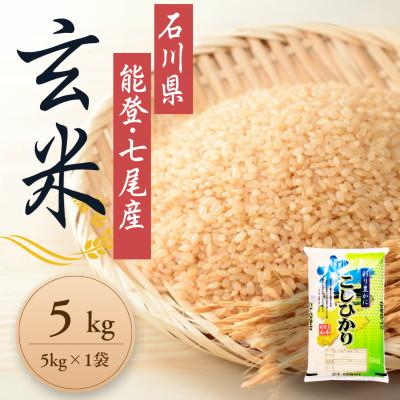ふるさと納税 七尾市 [令和7年産]石川県能登産こしひかり 玄米5kg(5kg×1袋)