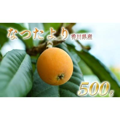 ふるさと納税 丸亀市 先行受付 びわ なつたより 約500g 化粧箱入 贈答用