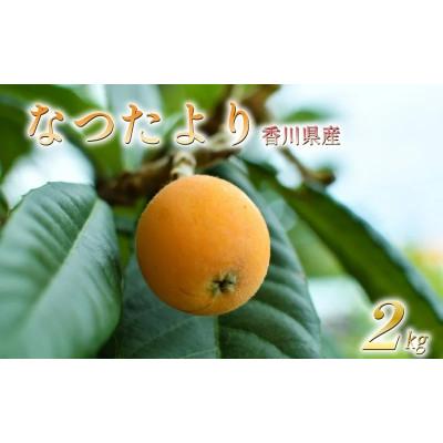 ふるさと納税 丸亀市 先行受付 びわ なつたより 約2kg (1kg×2箱) 冷蔵