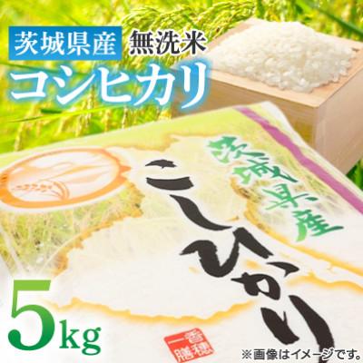ふるさと納税 土浦市 [令和7年産 新米] 茨城県産 コシヒカリ 無洗米 5kg おいしい お米