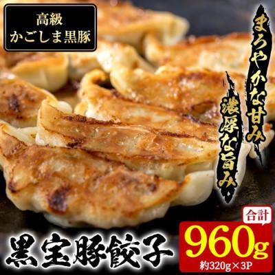 ふるさと納税 日置市 黒宝豚餃子16個入×3パック
