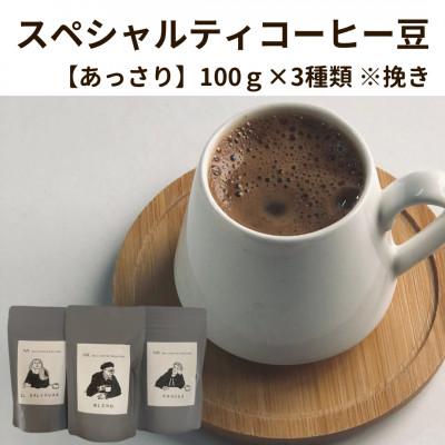 ふるさと納税 八女市 スペシャルティコーヒー豆100g×3種類[あっさり]※挽き