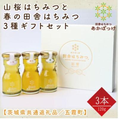 ふるさと納税 水戸市 山桜はちみつと春のはちみつの3種ギフトセット[R3山桜][茨城県共通返礼品/五霞町]