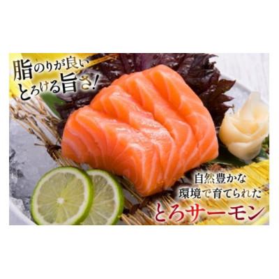 ふるさと納税 南三陸町 訳ありおさしみとろサーモン 200g×10パックの画像