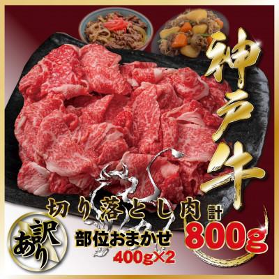 ふるさと納税 宝塚市 訳あり 神戸牛(神戸ビーフ)切り落とし肉 計800g TZS1-2