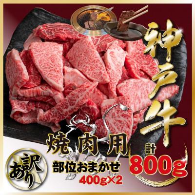 ふるさと納税 宝塚市 訳あり 神戸牛 部位おまかせ焼き肉 計800g TZY1-2 [2026年4月より順次発送]