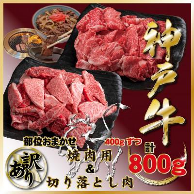 ふるさと納税 宝塚市 訳あり 神戸牛 切り落とし肉&amp;焼き肉用 計800g TZSY2 [2026年4月より順次発送]
