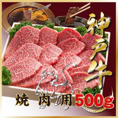 ふるさと納税 宝塚市 神戸牛(神戸ビーフ) 焼き肉用 500g TZY2 [2026年4月より順次発送]